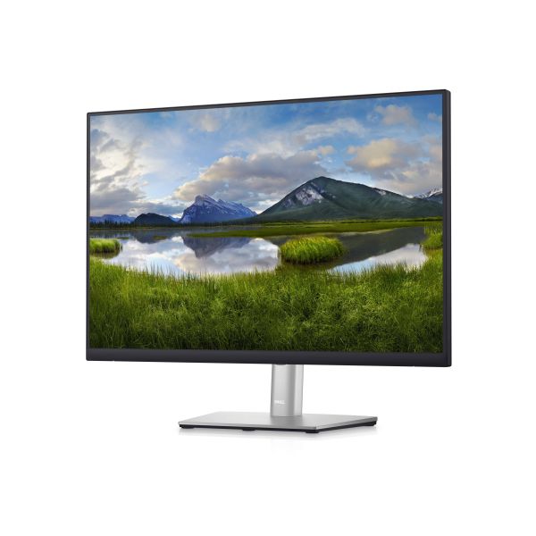 DELL P Series 24 monitor - P2423 (P2423)