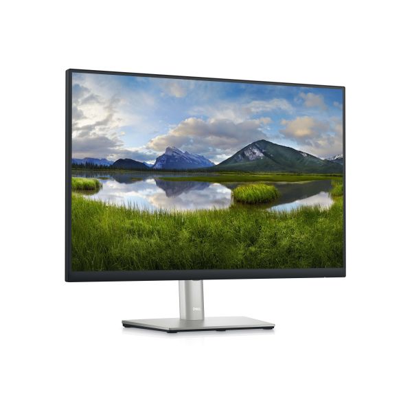 DELL P Series 24 monitor - P2423 (P2423)