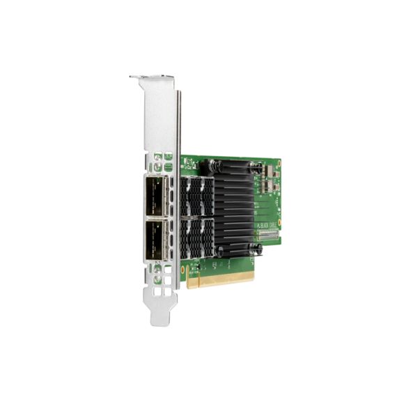 Hewlett Packard Enterprise P06251-B21 netwerkkaart Intern Ethernet / Fiber 100000 Mbit/s (P06251-B21)
