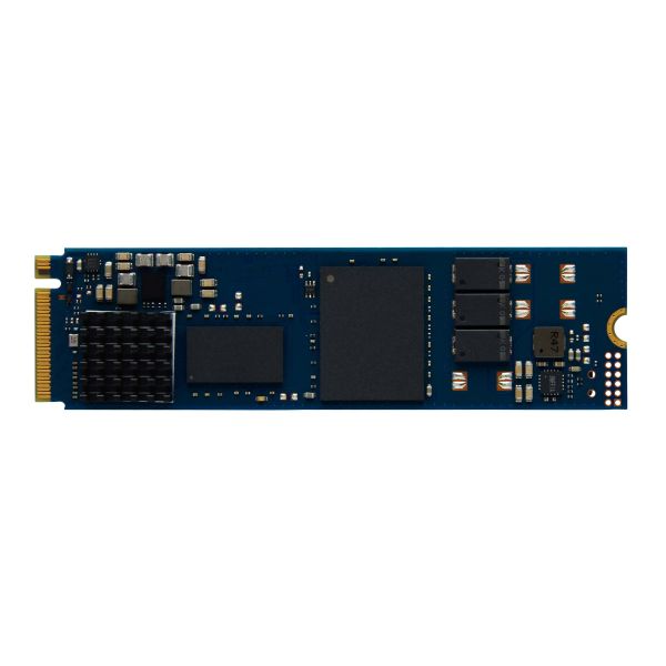 Kingston Technology 960G DC2000B M.2 4.0 M.2 2280 SSD (SEDC2000BM8/960G)