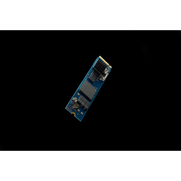 Kingston Technology 960G DC2000B M.2 4.0 M.2 2280 SSD (SEDC2000BM8/960G)