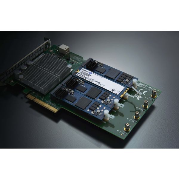 Kingston Technology 960G DC2000B M.2 4.0 M.2 2280 SSD (SEDC2000BM8/960G)
