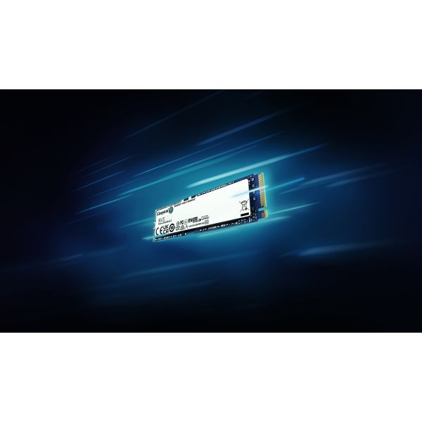 Kingston Technology 1000G NV3 M.2 2280 NVMe SSD (SNV3S/1000G)