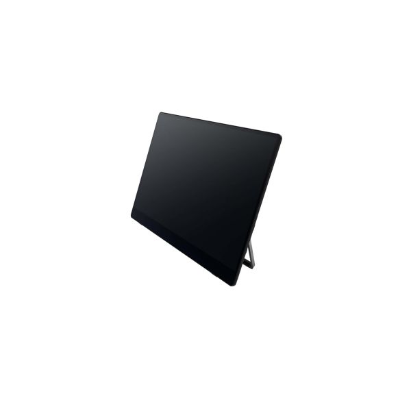 Ricoh Draagbare monitor 150 (514909)