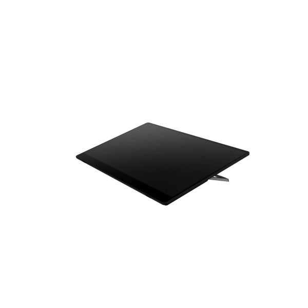 Ricoh Draagbare monitor 150 (514909)