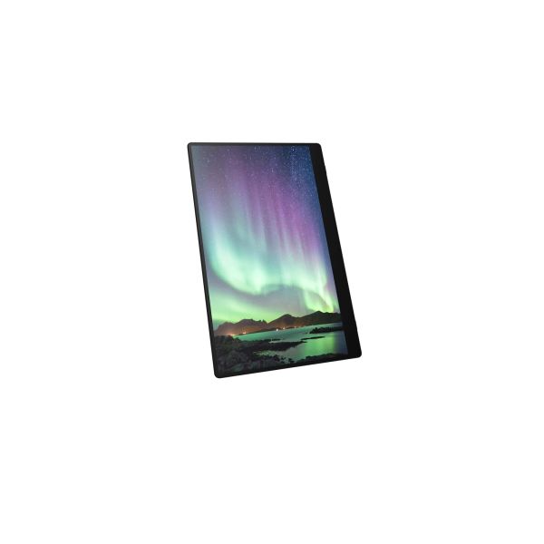 Ricoh Draagbare monitor 150 (514909)