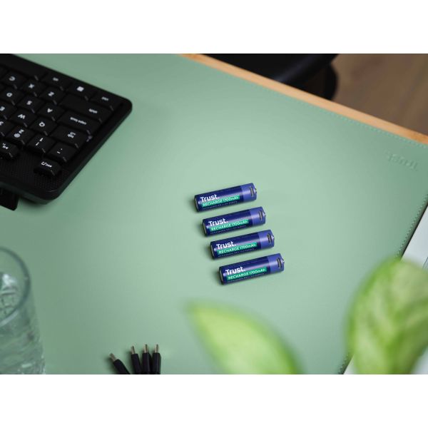 Trust 25631 huishoudelijke batterij Oplaadbare batterij AA (25631)
