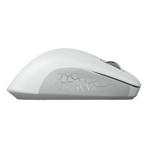CHERRY JW-8550-0 muis Universeel Rechtshandig RF Draadloos Optisch 4000 DPI (JW-8550-0)
