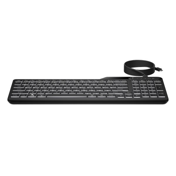 HP 400 Keyboard met USB-kabel (N60352-131)