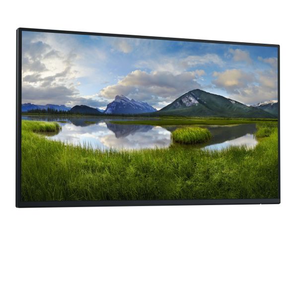 DELL P Series P2425H_WOST computer monitor 61 cm (24") 1920 x 1080 Pixels Full HD LCD Zwart (DELL-P2425H_WOST)