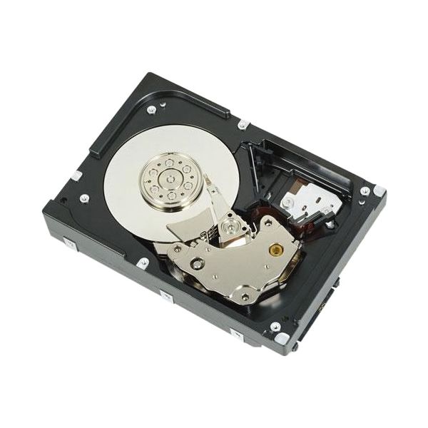 DELL 1D9NN interne harde schijf 2 TB 7200 RPM 3.5" SAS (1D9NN)