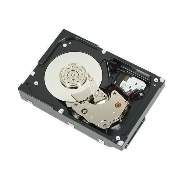 DELL 529FG interne harde schijf 4 TB 7200 RPM 3.5" SAS (529FG)