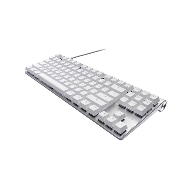 CHERRY MX Board 8.0 toetsenbord Gamen USB QWERTY US International Wit (G80-3888HYAEU-0)