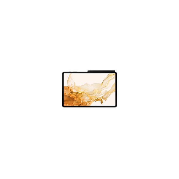 Samsung Galaxy Tab S8+ SM-X800N Qualcomm Snapdragon 128 GB 31,5 cm (12.4") 8 GB Wi-Fi 6 (802.11ax) Grafiet (SM-X800NZAAEUB)