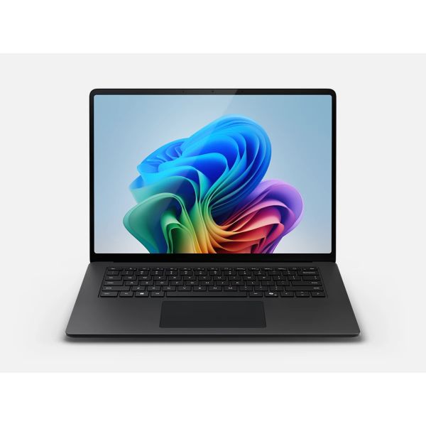 Microsoft Office Professional Plus - l (2FJ-00015)