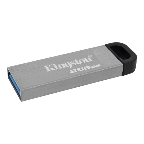 Kingston Technology DataTraveler Kyson USB flash drive 256 GB USB Type-A 3.2 Gen 1 (3.1 Gen 1) Zilver (DTKN/256GB)