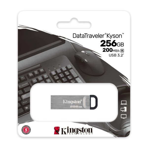 Kingston Technology DataTraveler Kyson USB flash drive 256 GB USB Type-A 3.2 Gen 1 (3.1 Gen 1) Zilver (DTKN/256GB)