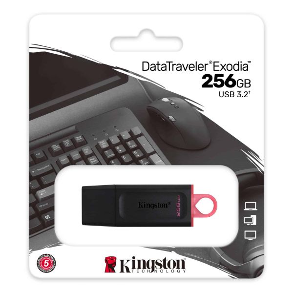 Kingston Technology DataTraveler Exodia USB flash drive 256 GB USB Type-A 3.2 Gen 1 (3.1 Gen 1) Zwart (DTX/256GB)