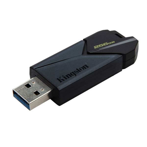 Kingston Technology DataTraveler 256GB Portable USB 3.2 Gen 1 Exodia Onyx (DTXON/256GB)