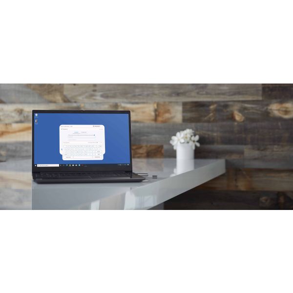 Kingston Technology IronKey 64GB IKLP50 AES USB, met 256-bits versleuteling (IKLP50/64GB)