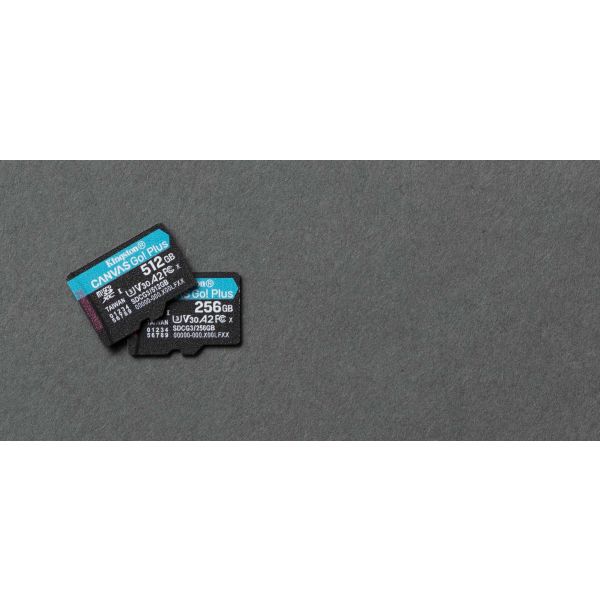 Kingston Technology Canvas Go! Plus 256 GB SD UHS-I Klasse 10 (SDCG3/256GB)