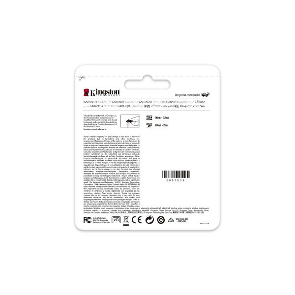 Kingston Technology Canvas Go! Plus 256 GB SD UHS-I Klasse 10 (SDCG3/256GB)