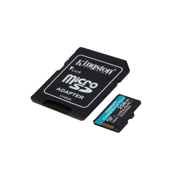 Kingston Technology Canvas Go! Plus 256 GB SD UHS-I Klasse 10 (SDCG3/256GB)