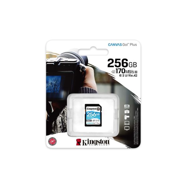 Kingston Technology Canvas Go! Plus 256 GB SD UHS-I Klasse 10 (SDG3/256GB)