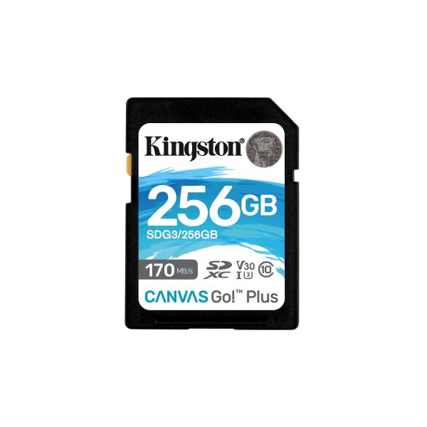 Kingston Technology Canvas Go! Plus 256 GB SD UHS-I Klasse 10 (SDG3/256GB)
