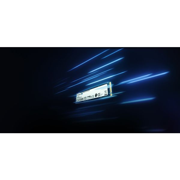 Kingston Technology 250G NV2 M.2 2280 PCIe 4.0 NVMe SSD (SNV2S/250G) Kingston Technology 250G NV2 M.2 2280 PCIe 4.0 NVMe SSD (SNV2S/250G)