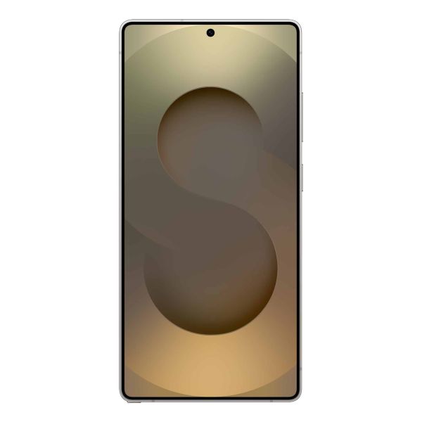 Samsung Galaxy S25 Ultra 17,5 cm (6.9") Dual SIM Android 15 5G USB Type-C 12 GB 256 GB 5000 mAh Grijs, Titanium (SM-S938BZTDEUB)