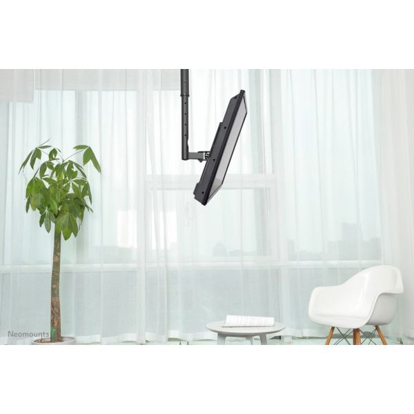 Neomounts monitor plafondsteun (FPMA-C060BLACK)