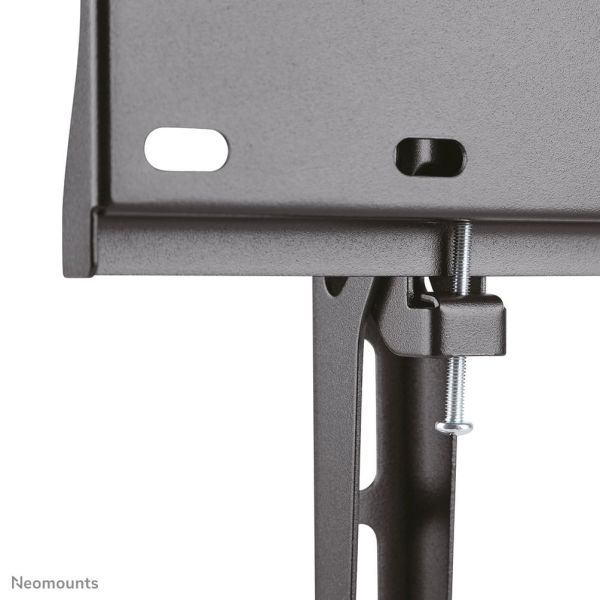 Neomounts tv wandsteun (FPMA-W350BLACK)