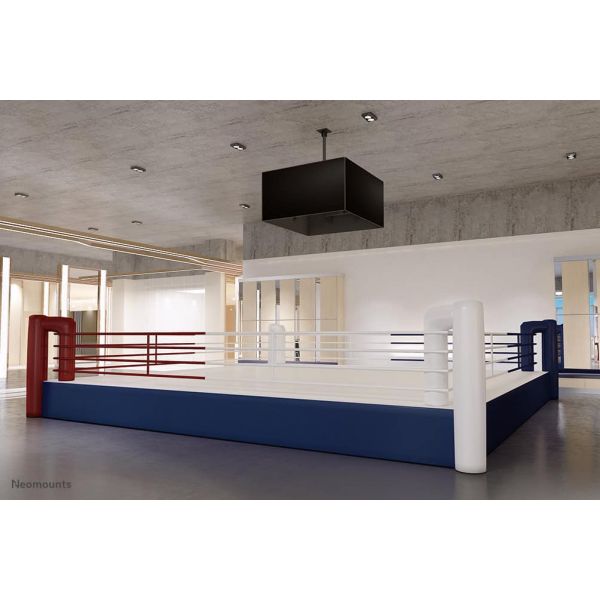 Neomounts Pro menuboard plafondsteun (NMPRO-CMB4)