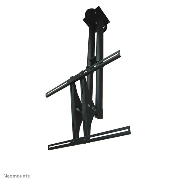 Neomounts monitor plafondsteun (PLASMA-C100BLACK)