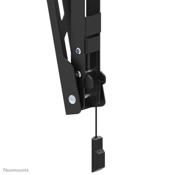 Neomounts tv wandsteun (WL35-550BL12)