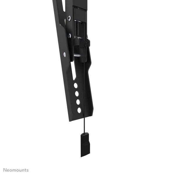 Neomounts tv wandsteun (WL35-550BL18)