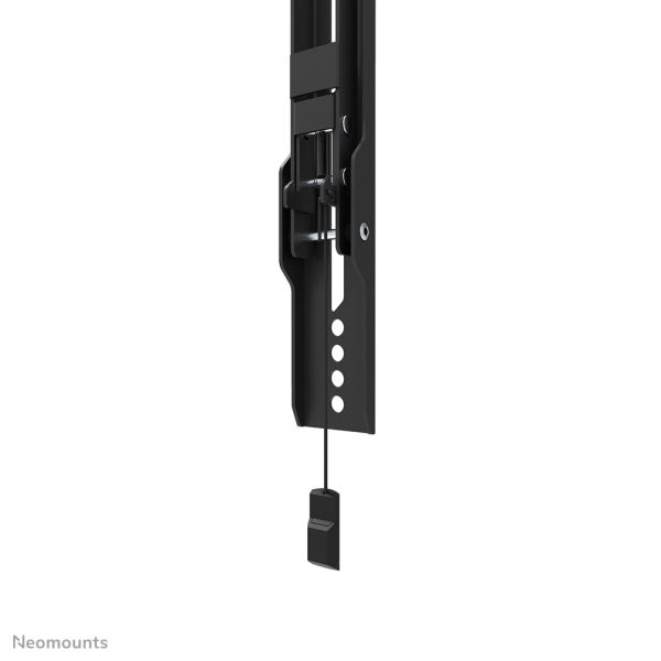 Neomounts tv wandsteun (WL35-550BL18)