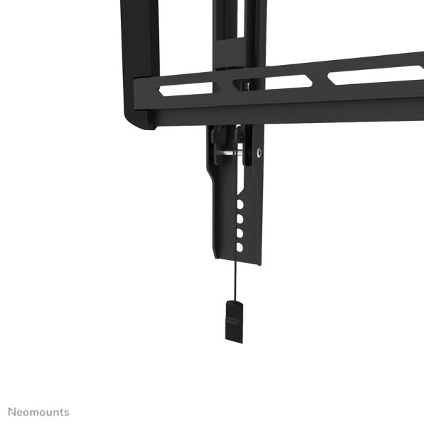 Neomounts tv wandsteun (WL35-550BL18)