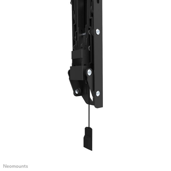Neomounts tv wandsteun (WL35S-850BL12)