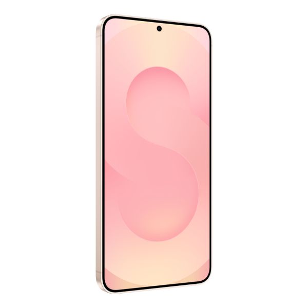 Samsung Galaxy S25+ SM-S936B/DS 17 cm (6.7") Dual SIM Android 15 5G USB Type-C 12 GB 512 GB 4900 mAh Goud, Roze (SM-S936BZDGEUB)
