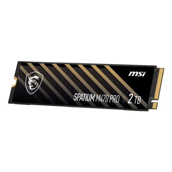 MSI SPATIUM M470 PRO PCIe 4.0 NVMe M.2 2 TB PCI Express 4.0 3D NAND (S78-440Q990-P83)