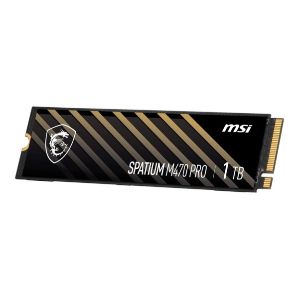 MSI SPATIUM M470 PRO PCIe 4.0 NVMe M.2 2 TB PCI Express 4.0 3D NAND (S78-440Q990-P83)