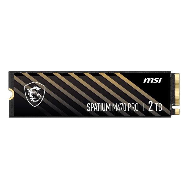 MSI SPATIUM M470 PRO PCIe 4.0 NVMe M.2 2 TB PCI Express 4.0 3D NAND (S78-440Q990-P83)