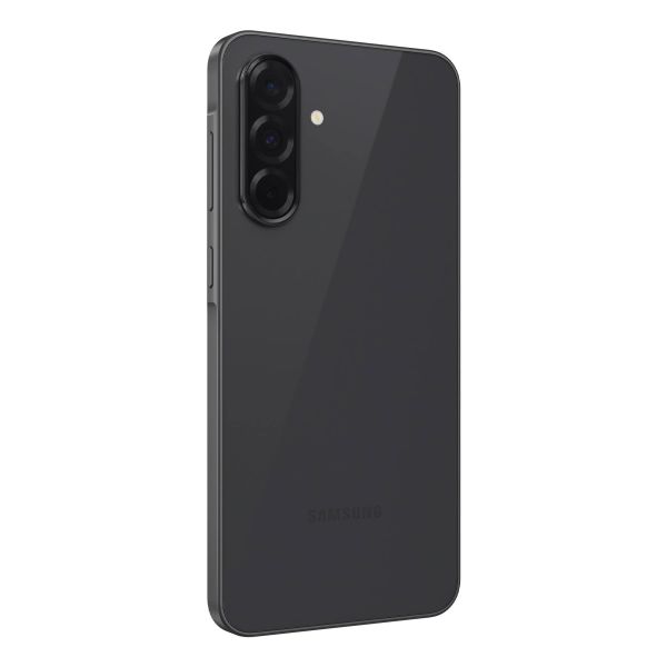 Samsung SM-A366B/DS 17 cm (6.7") Dual SIM Android 15 5G USB Type-C 8 GB 256 GB 5000 mAh Zwart (SM-A366BZKGEUB)