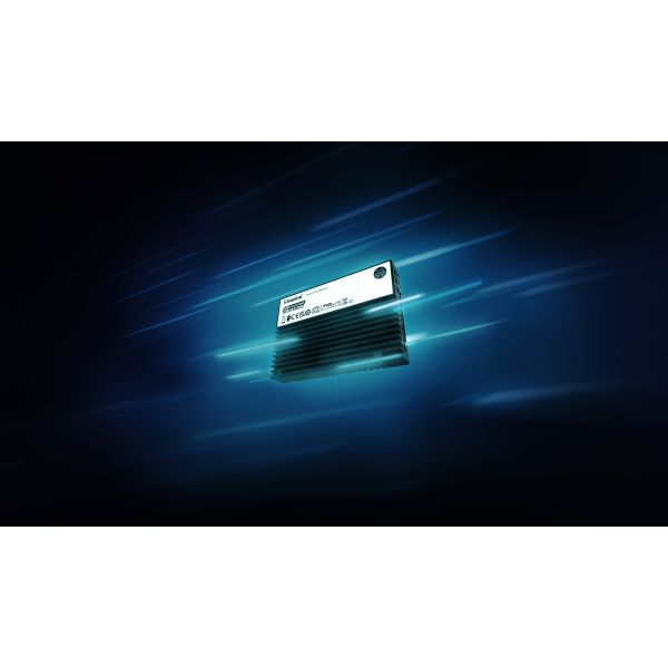 Kingston Technology 15,36TB DC3000ME U.2 PCIe 5.0 NVMe TCG Opal Enterprise SSD (SEDC3000ME/15T3)