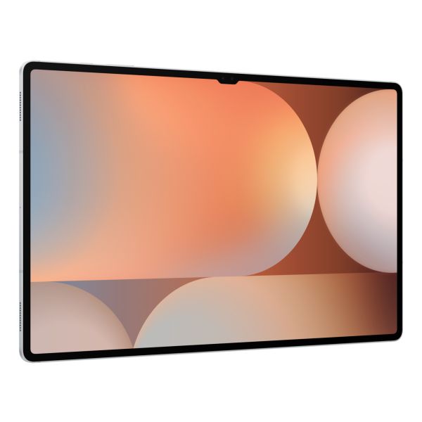 Samsung Galaxy Tab S10 Ultra Wi-Fi 256 GB 37,1 cm (14.6") 12 GB Wi-Fi 7 (802.11be) Platina, Zilver (SM-X920NZSREUE)