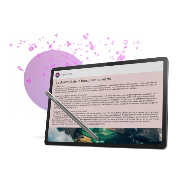 Lenovo Idea Tab Pro Mediatek 256 GB 32,3 cm (12.7") 8 GB Wi-Fi 6E (802.11ax) Android 14 Grijs (ZAE40105SE)