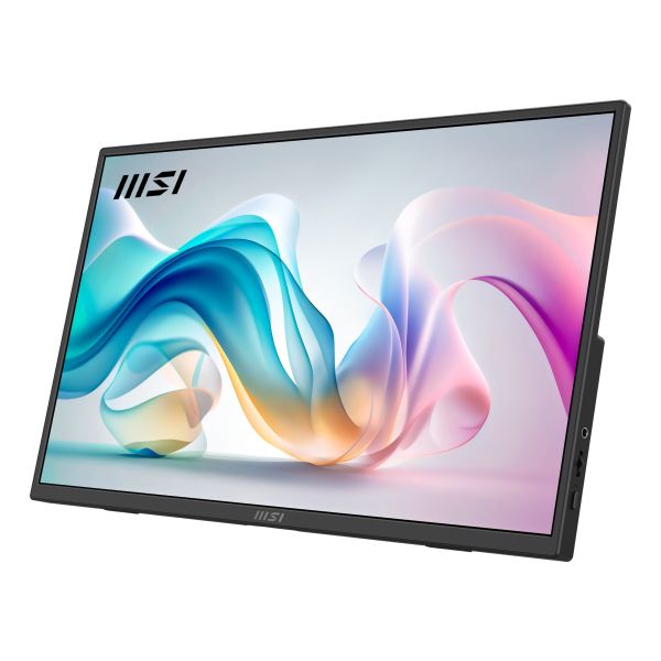 MSI PRO MP165DE E6 Tragbarer Monitor - 1920x1080 (FHD) (9S6-3PE50M-002)