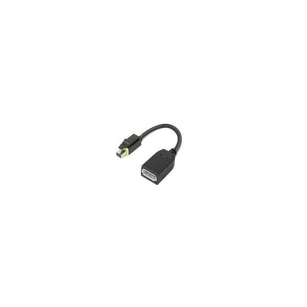 Lenovo 4X90Q93975 video kabel adapter Mini DisplayPort DisplayPort Zwart (4X90Q93975)